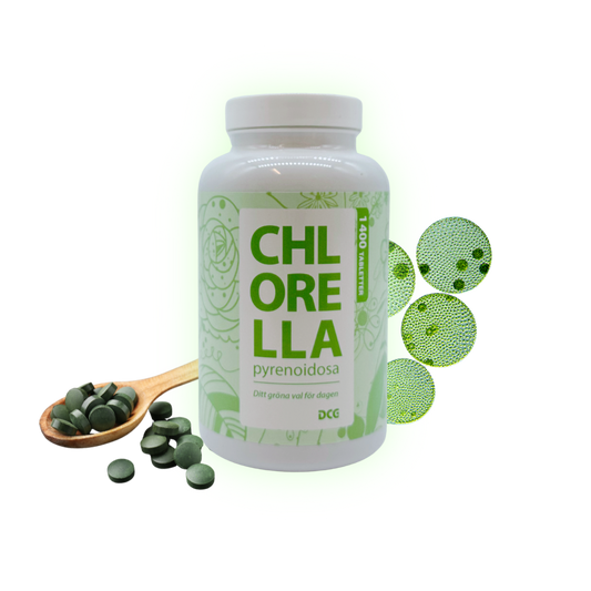 Chlorella