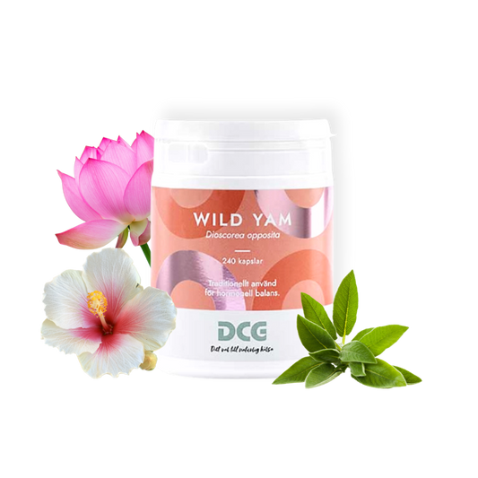 Wild Yam